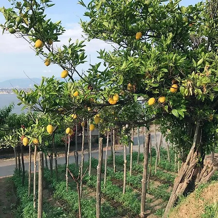 艾丽萨贝塔酒店 卡斯特拉玛雷帝斯达比亚